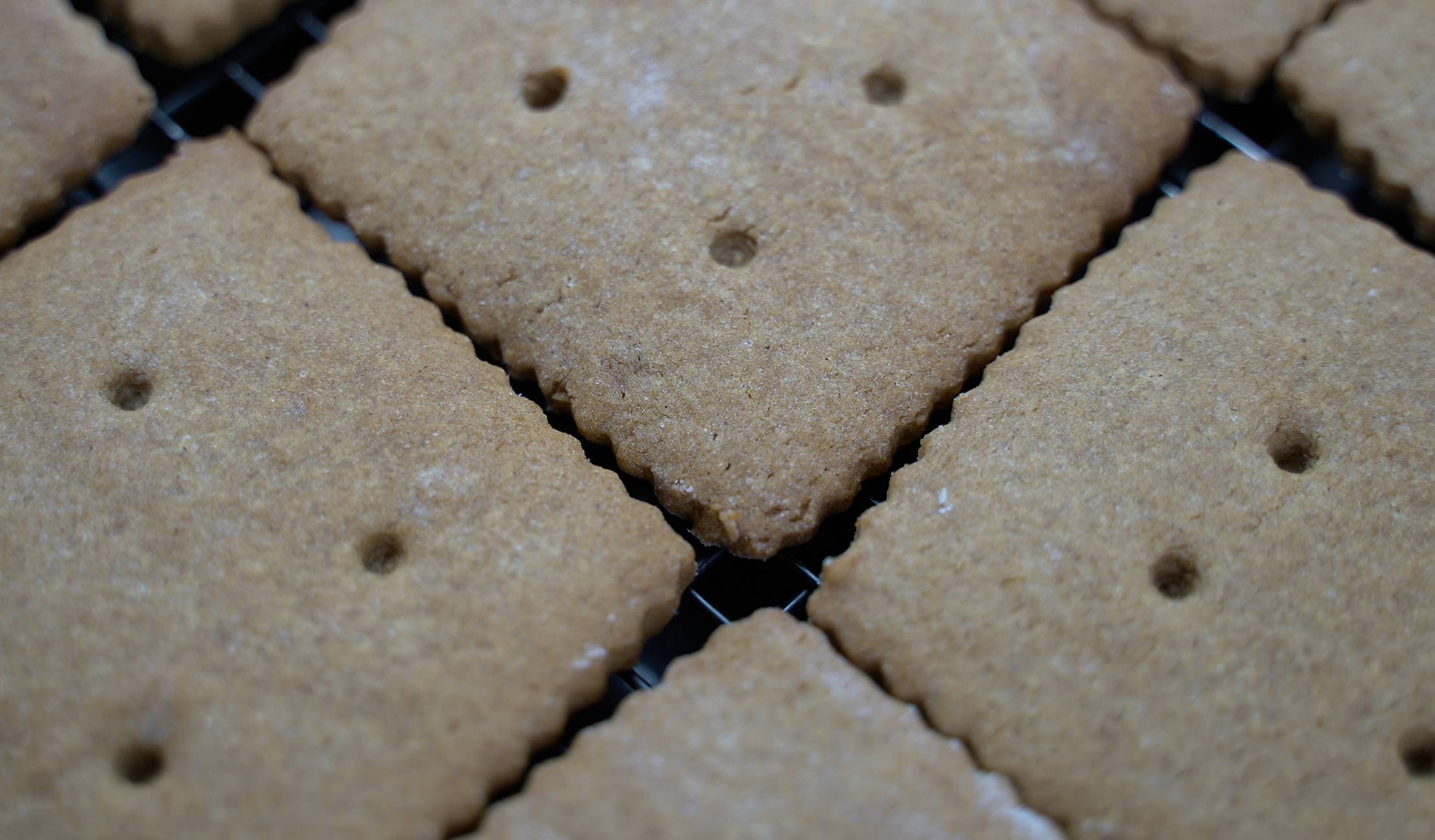 Gluten Free Graham Crackers DaddyCanYouMake